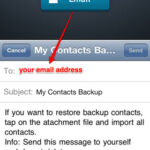 Imágenes My Contacts Backup 3