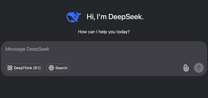 Cómo funciona DeepSeek chatbot